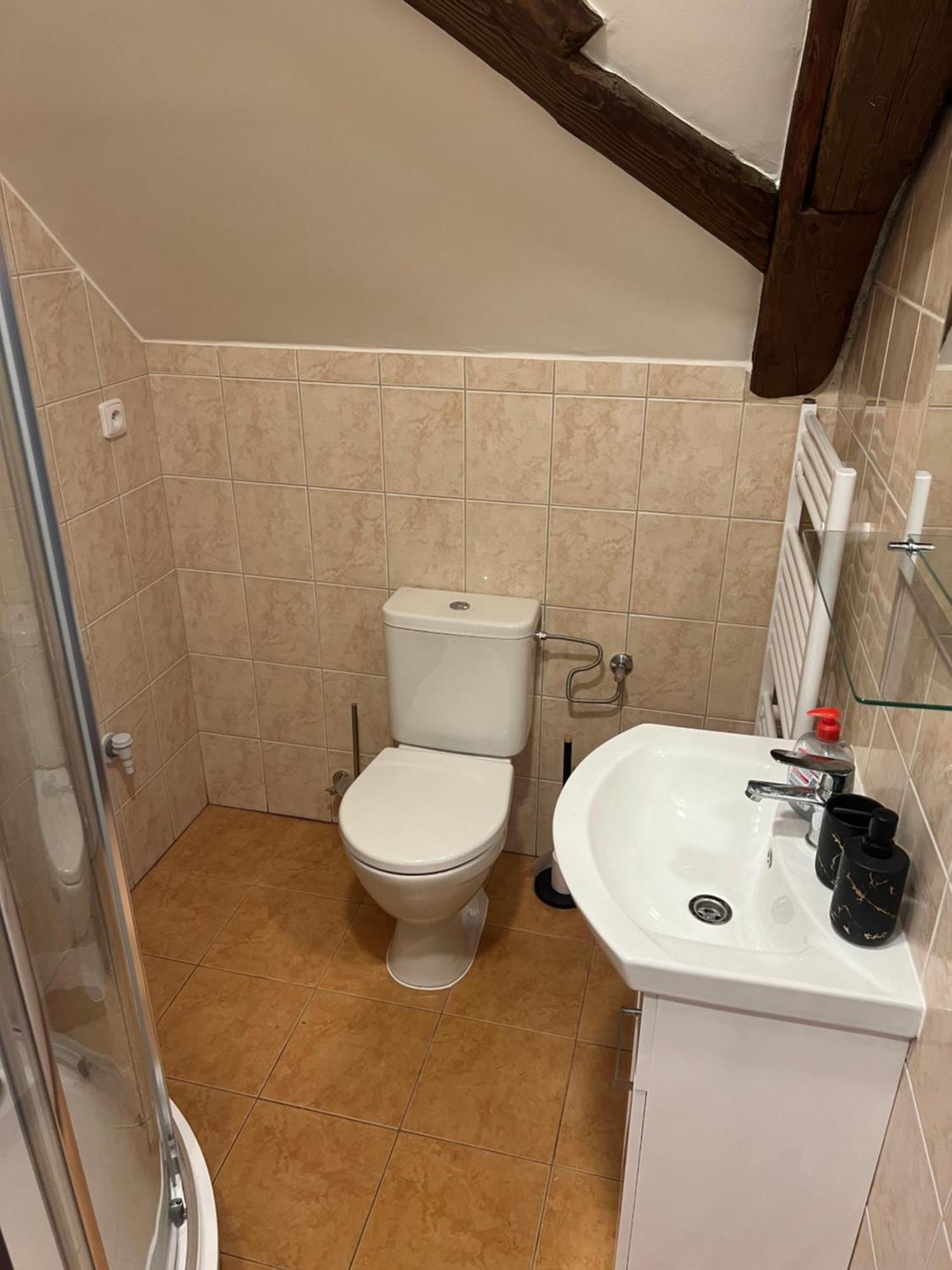 Ubytovani 1Kk Ve Zlonicich Slaný Exterior foto